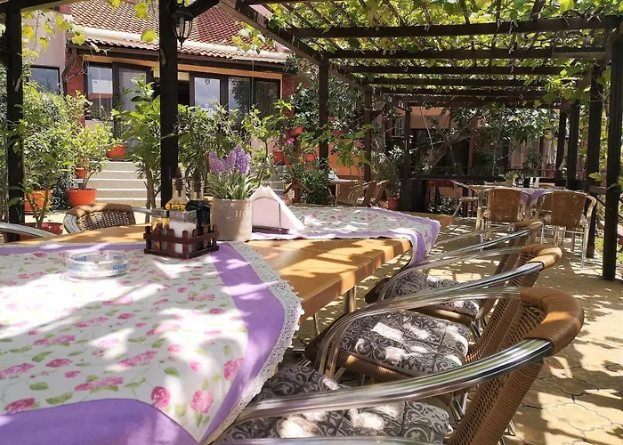 Family Rainbow Sveti Vlas